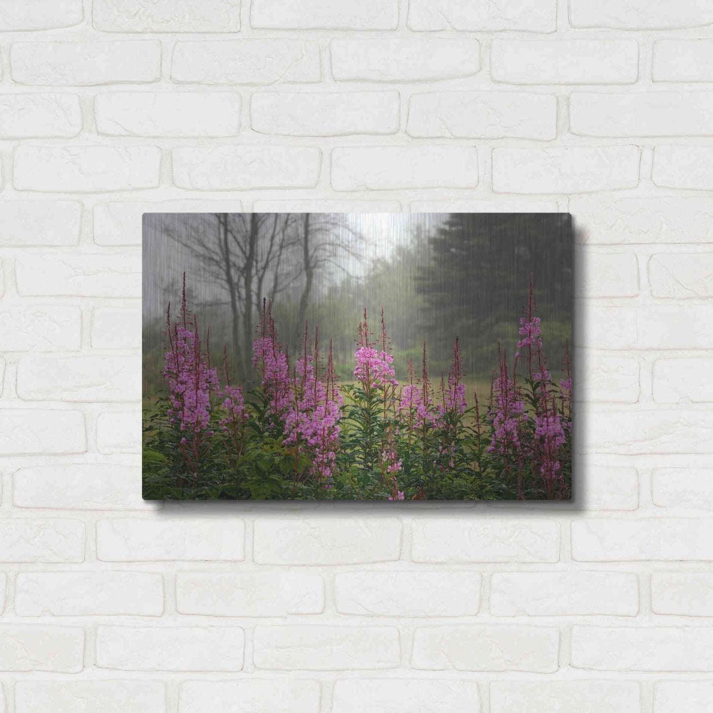 Luxe Metal Art 'Campobello Lupine' by Mike Jones, Metal Wall Art,24x16