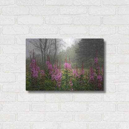 Luxe Metal Art 'Campobello Lupine' by Mike Jones, Metal Wall Art,24x16