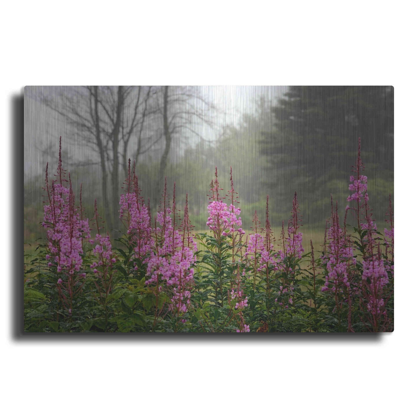 Luxe Metal Art 'Campobello Lupine' by Mike Jones, Metal Wall Art