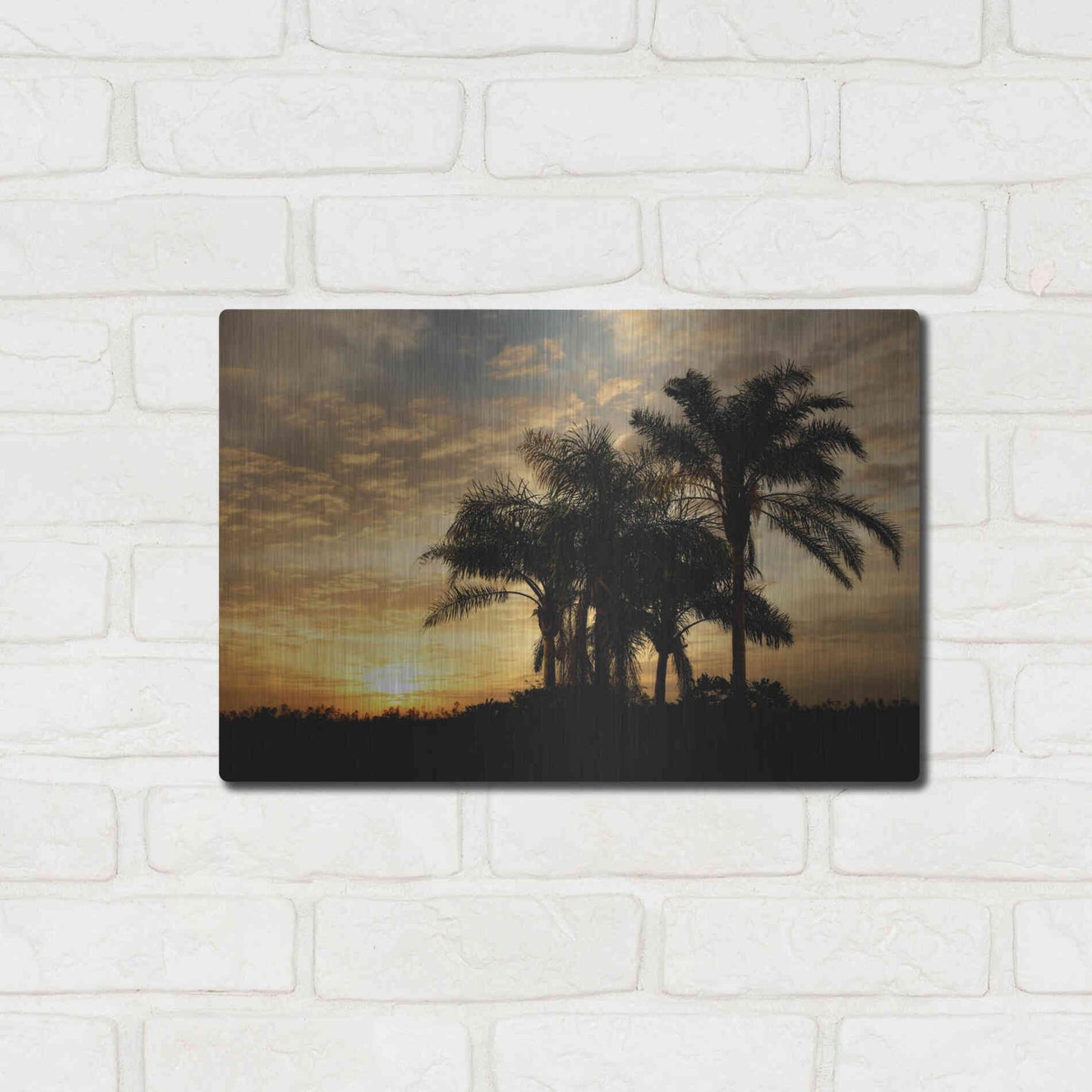 Luxe Metal Art 'Everglades Sunrise' by Mike Jones, Metal Wall Art,16x12