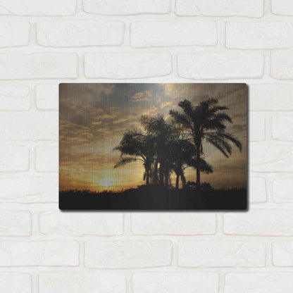 Luxe Metal Art 'Everglades Sunrise' by Mike Jones, Metal Wall Art,16x12
