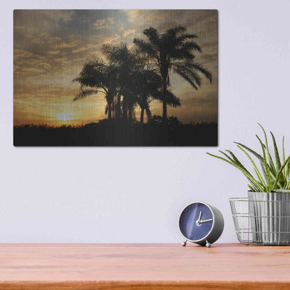 Luxe Metal Art 'Everglades Sunrise' by Mike Jones, Metal Wall Art,16x12
