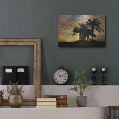 Luxe Metal Art 'Everglades Sunrise' by Mike Jones, Metal Wall Art,16x12