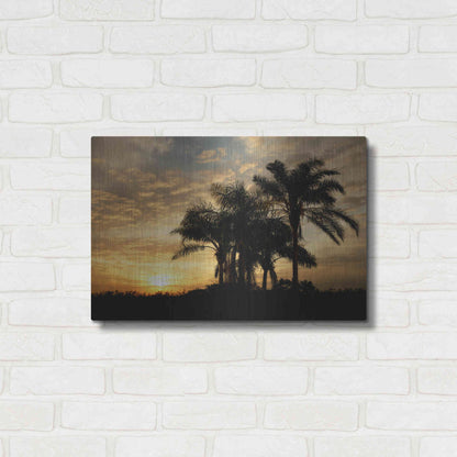 Luxe Metal Art 'Everglades Sunrise' by Mike Jones, Metal Wall Art,24x16