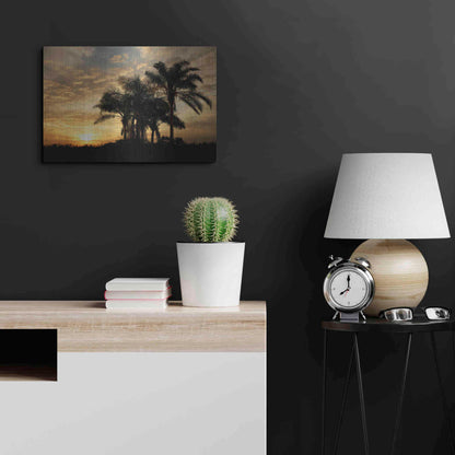 Luxe Metal Art 'Everglades Sunrise' by Mike Jones, Metal Wall Art,24x16