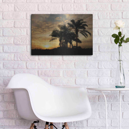Luxe Metal Art 'Everglades Sunrise' by Mike Jones, Metal Wall Art,24x16
