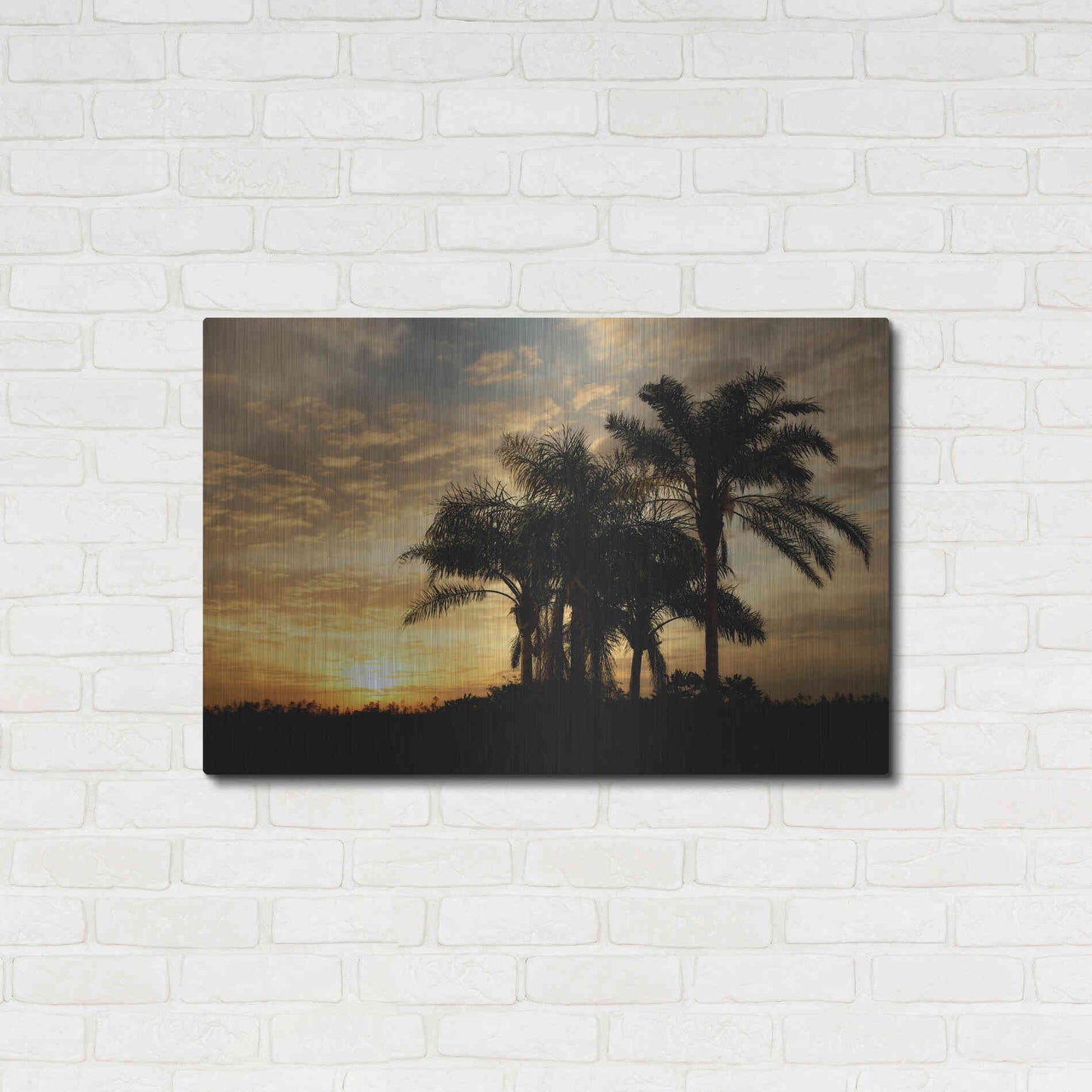 Luxe Metal Art 'Everglades Sunrise' by Mike Jones, Metal Wall Art,36x24