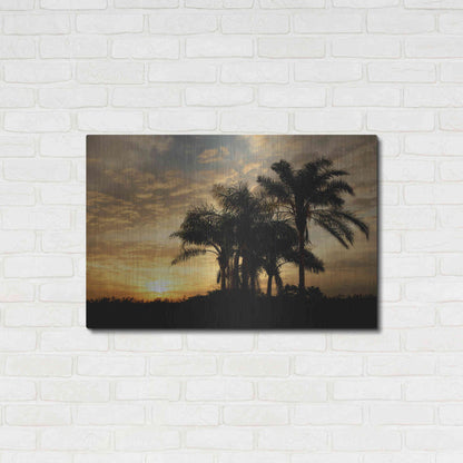 Luxe Metal Art 'Everglades Sunrise' by Mike Jones, Metal Wall Art,36x24