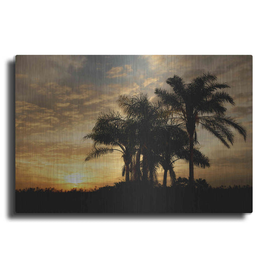 Luxe Metal Art 'Everglades Sunrise' by Mike Jones, Metal Wall Art