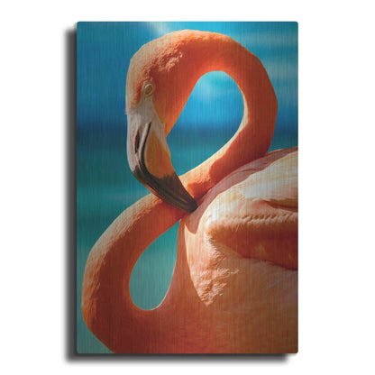 Luxe Metal Art 'Flamingo' by Mike Jones, Metal Wall Art