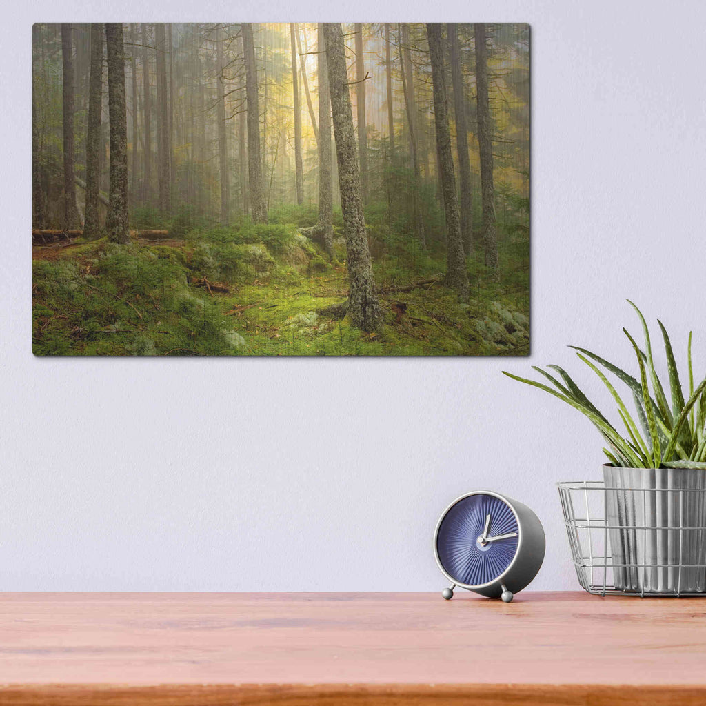 Luxe Metal Art 'Foggy Fire Woods' by Mike Jones, Metal Wall Art,16x12