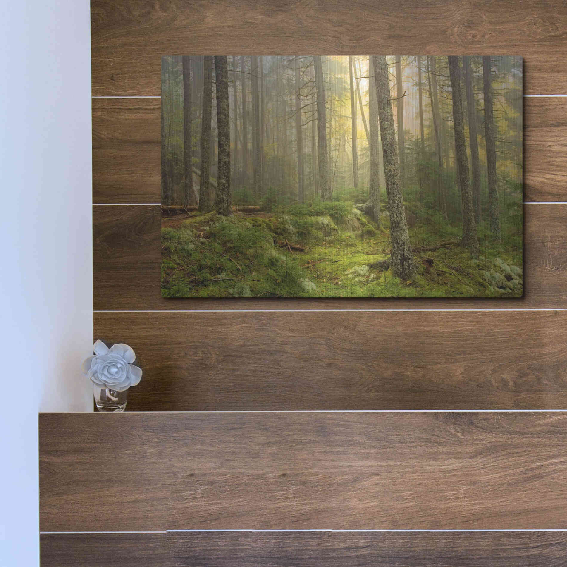 Luxe Metal Art 'Foggy Fire Woods' by Mike Jones, Metal Wall Art,16x12