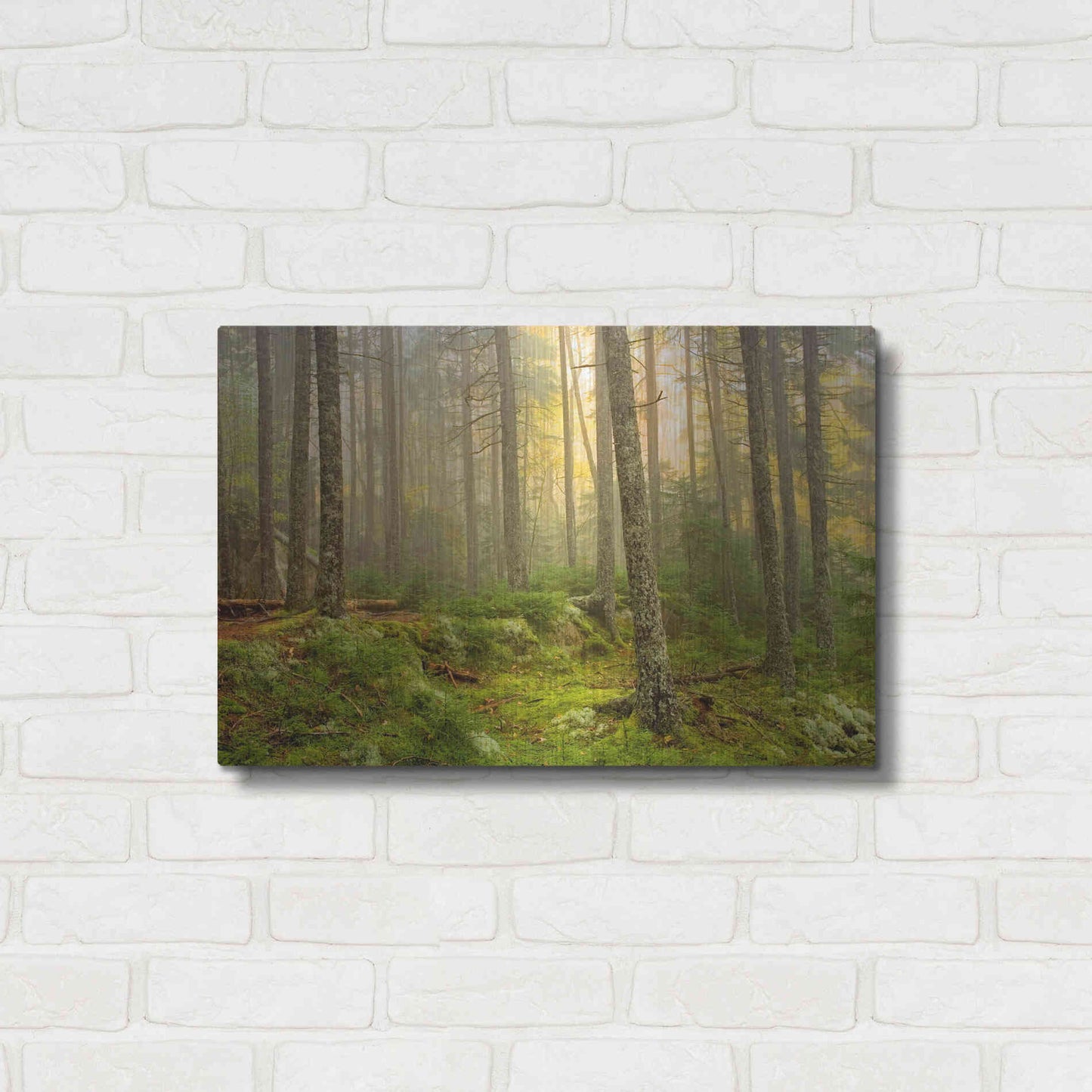 Luxe Metal Art 'Foggy Fire Woods' by Mike Jones, Metal Wall Art,24x16