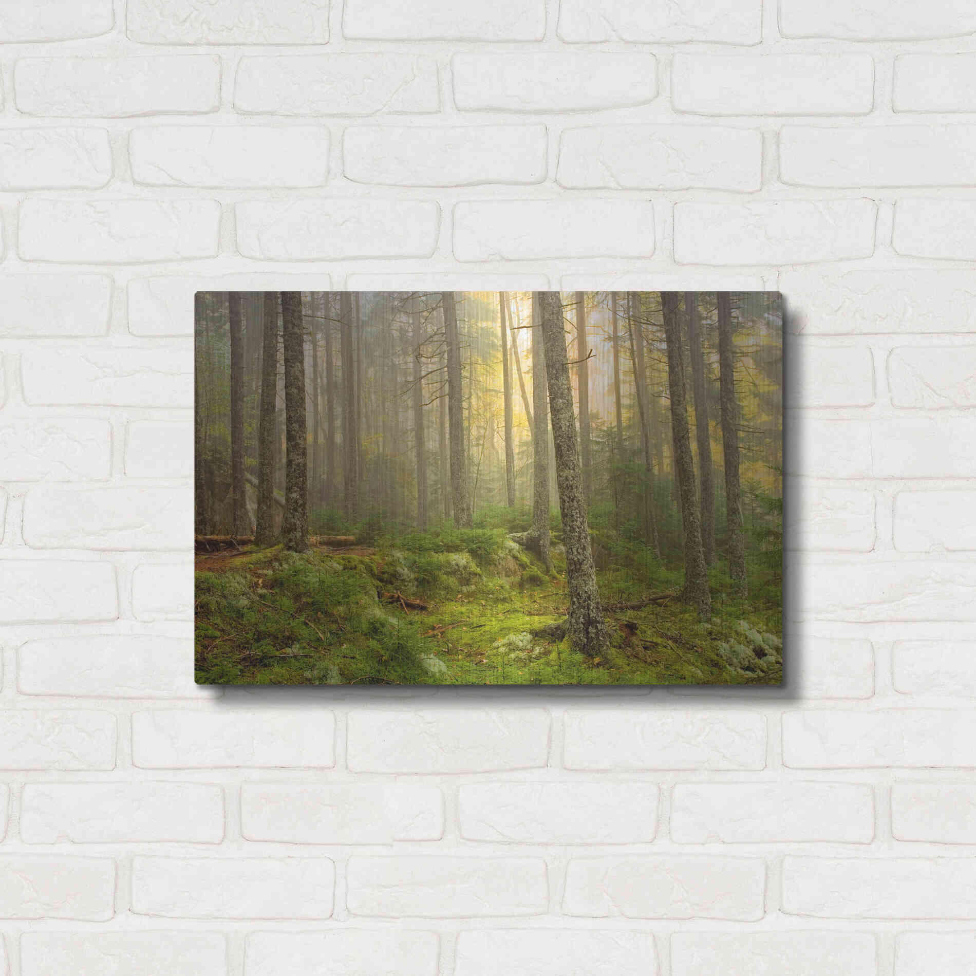 Luxe Metal Art 'Foggy Fire Woods' by Mike Jones, Metal Wall Art,24x16