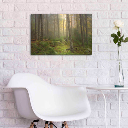 Luxe Metal Art 'Foggy Fire Woods' by Mike Jones, Metal Wall Art,24x16