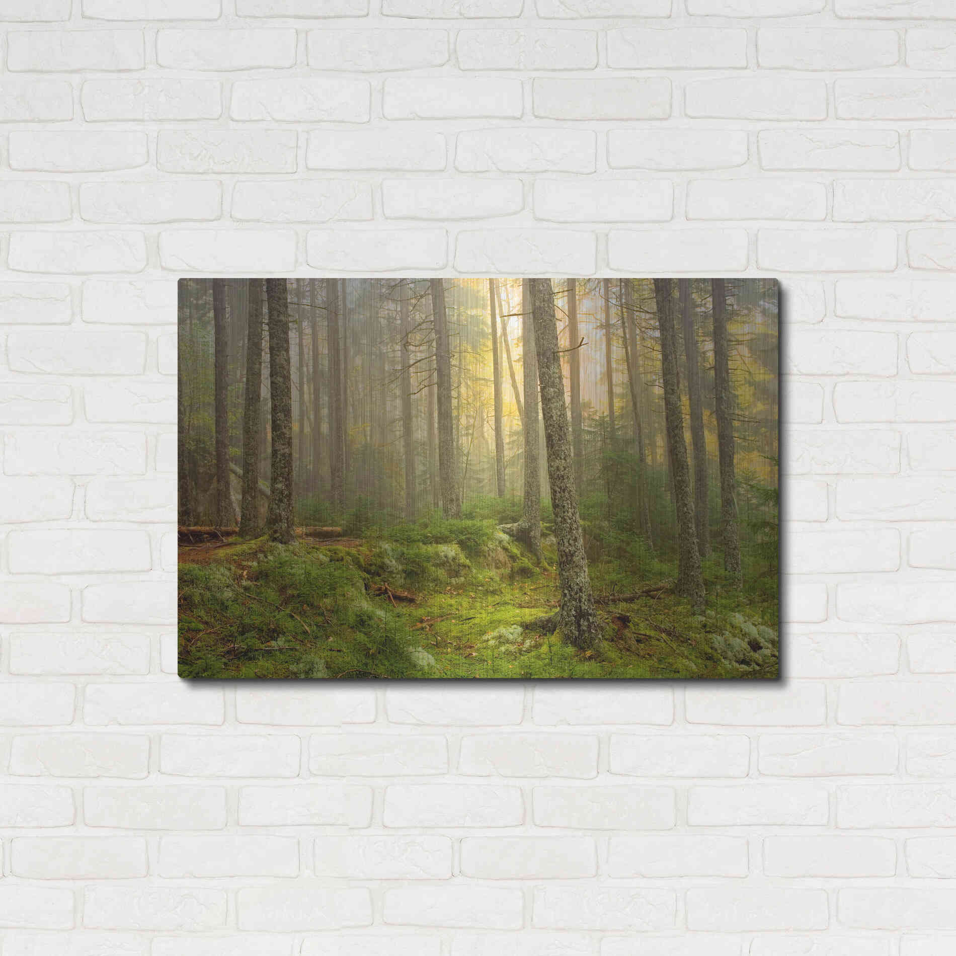 Luxe Metal Art 'Foggy Fire Woods' by Mike Jones, Metal Wall Art,36x24