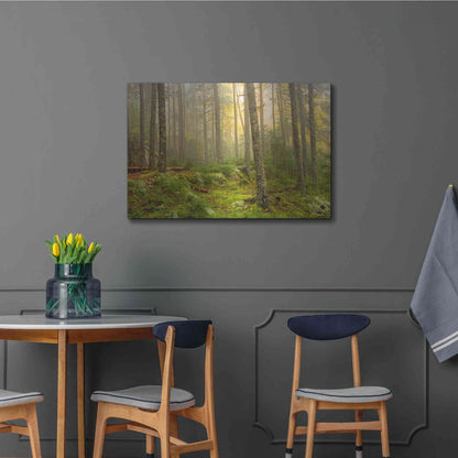 Luxe Metal Art 'Foggy Fire Woods' by Mike Jones, Metal Wall Art,36x24