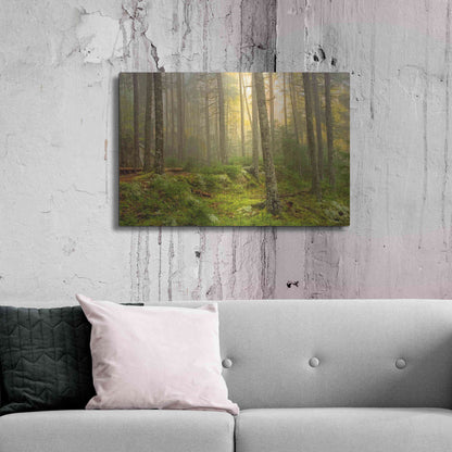 Luxe Metal Art 'Foggy Fire Woods' by Mike Jones, Metal Wall Art,36x24