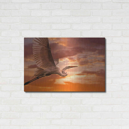 Luxe Metal Art 'Heron Sunset' by Mike Jones, Metal Wall Art,36x24