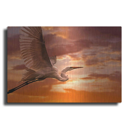 Luxe Metal Art 'Heron Sunset' by Mike Jones, Metal Wall Art