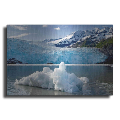 Luxe Metal Art 'Iceburg' by Mike Jones, Metal Wall Art
