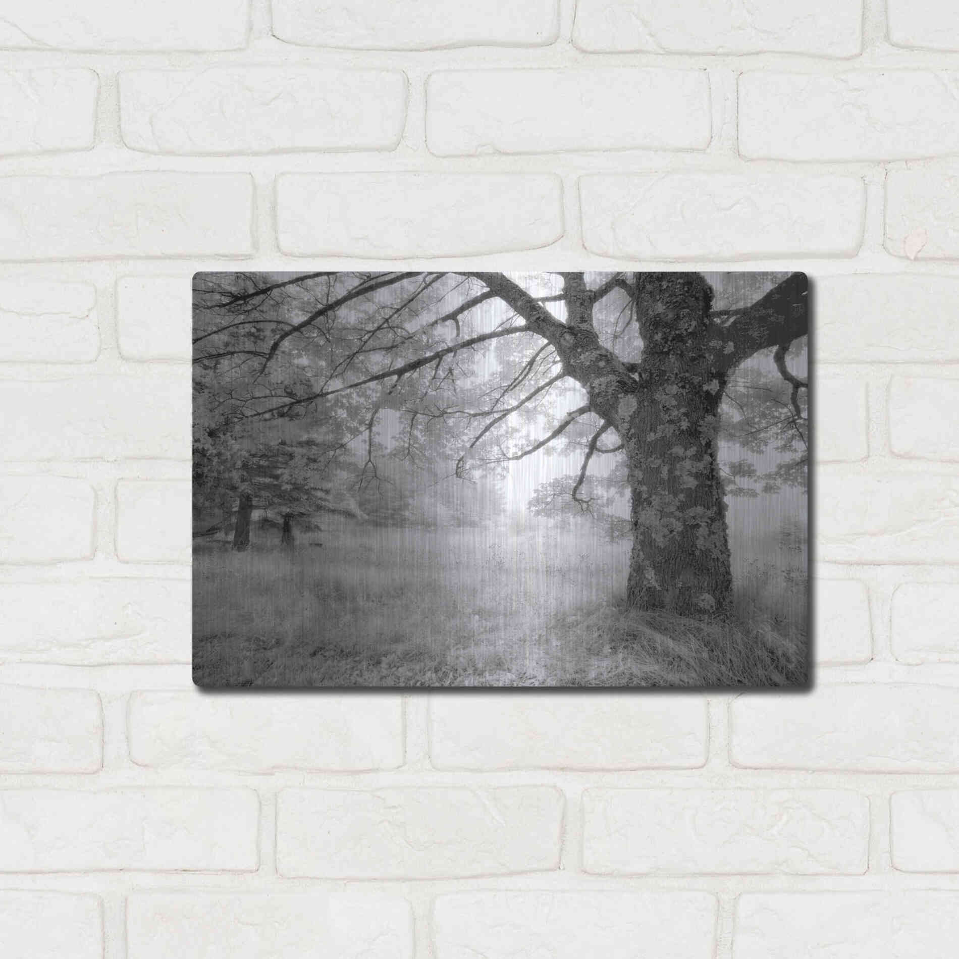 Luxe Metal Art 'JPG' by Mike Jones, Metal Wall Art,16x12