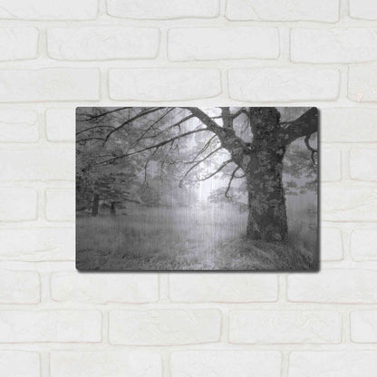 Luxe Metal Art 'JPG' by Mike Jones, Metal Wall Art,16x12