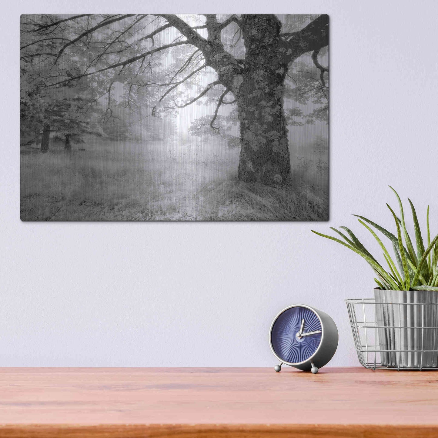 Luxe Metal Art 'JPG' by Mike Jones, Metal Wall Art,16x12