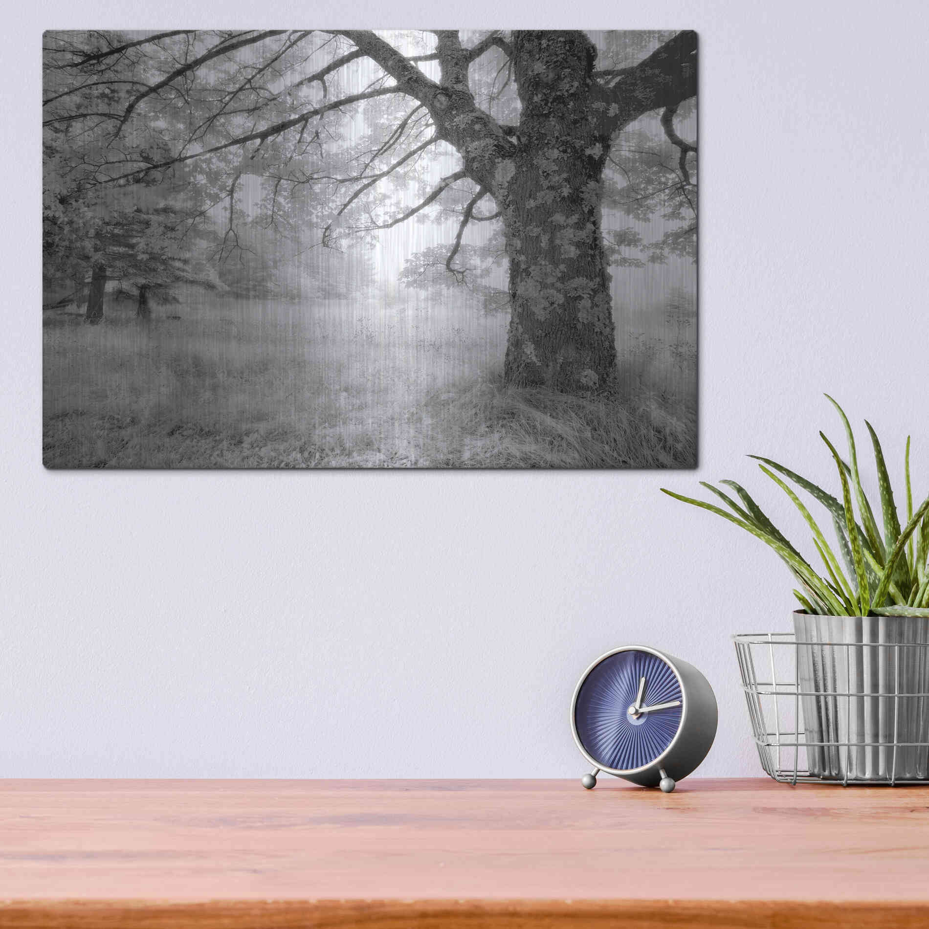 Luxe Metal Art 'JPG' by Mike Jones, Metal Wall Art,16x12