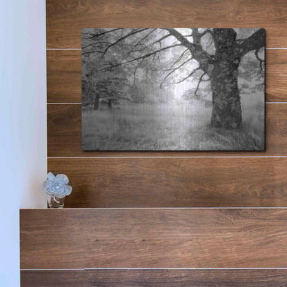 Luxe Metal Art 'JPG' by Mike Jones, Metal Wall Art,16x12