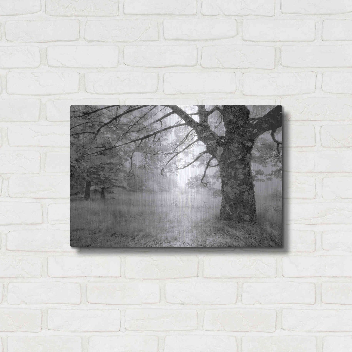 Luxe Metal Art 'JPG' by Mike Jones, Metal Wall Art,24x16