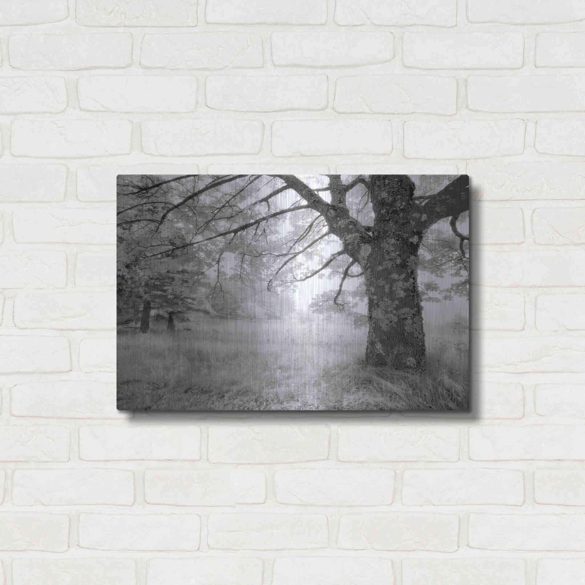 Luxe Metal Art 'JPG' by Mike Jones, Metal Wall Art,24x16