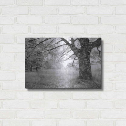 Luxe Metal Art 'JPG' by Mike Jones, Metal Wall Art,24x16