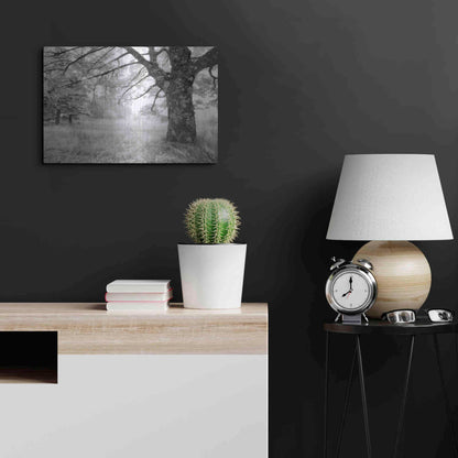 Luxe Metal Art 'JPG' by Mike Jones, Metal Wall Art,24x16
