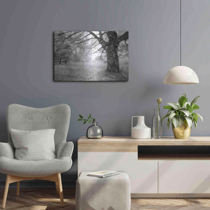 Luxe Metal Art 'JPG' by Mike Jones, Metal Wall Art,24x16