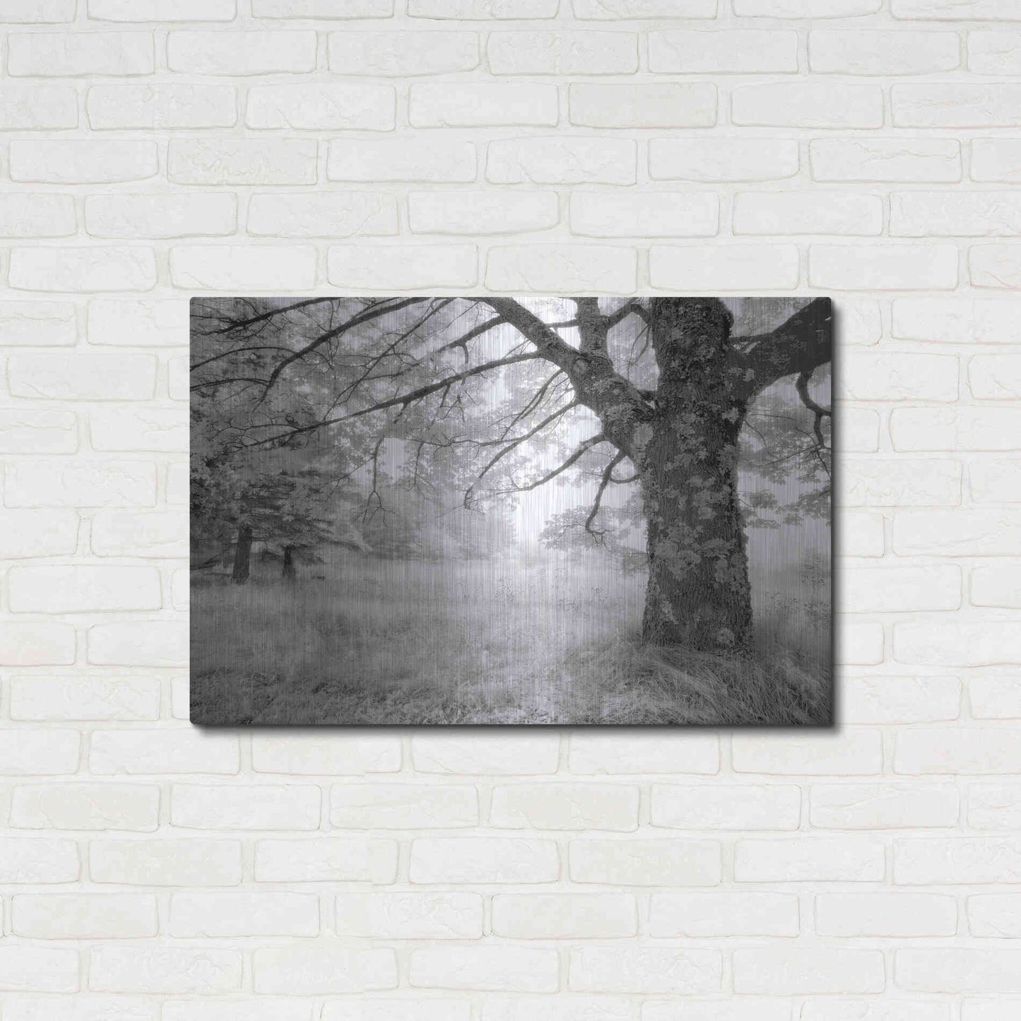 Luxe Metal Art 'JPG' by Mike Jones, Metal Wall Art,36x24