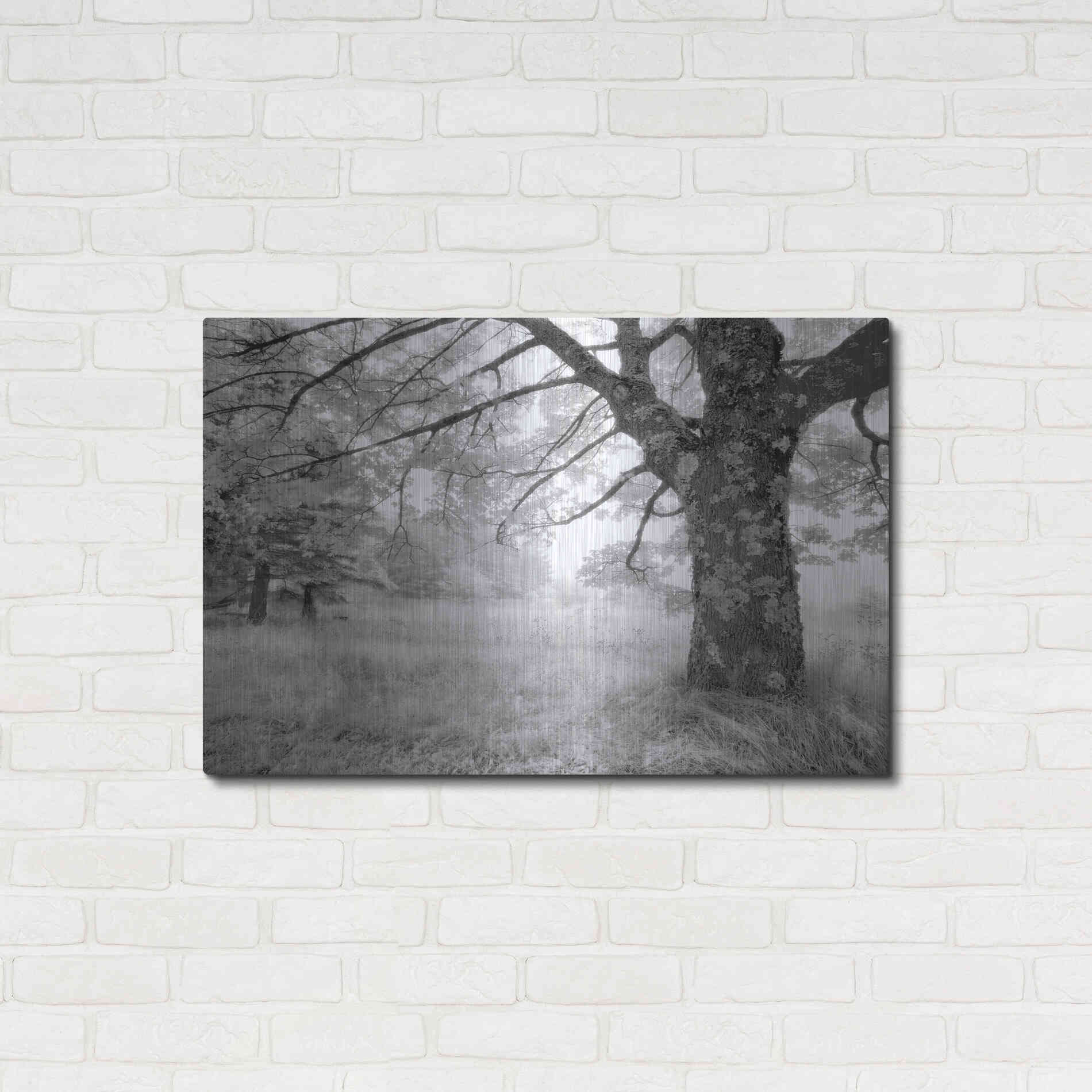 Luxe Metal Art 'JPG' by Mike Jones, Metal Wall Art,36x24
