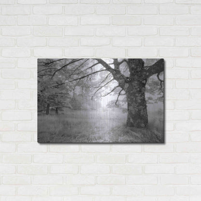 Luxe Metal Art 'JPG' by Mike Jones, Metal Wall Art,36x24