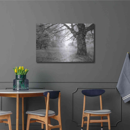 Luxe Metal Art 'JPG' by Mike Jones, Metal Wall Art,36x24