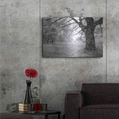 Luxe Metal Art 'JPG' by Mike Jones, Metal Wall Art,36x24