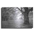 Luxe Metal Art 'JPG' by Mike Jones, Metal Wall Art