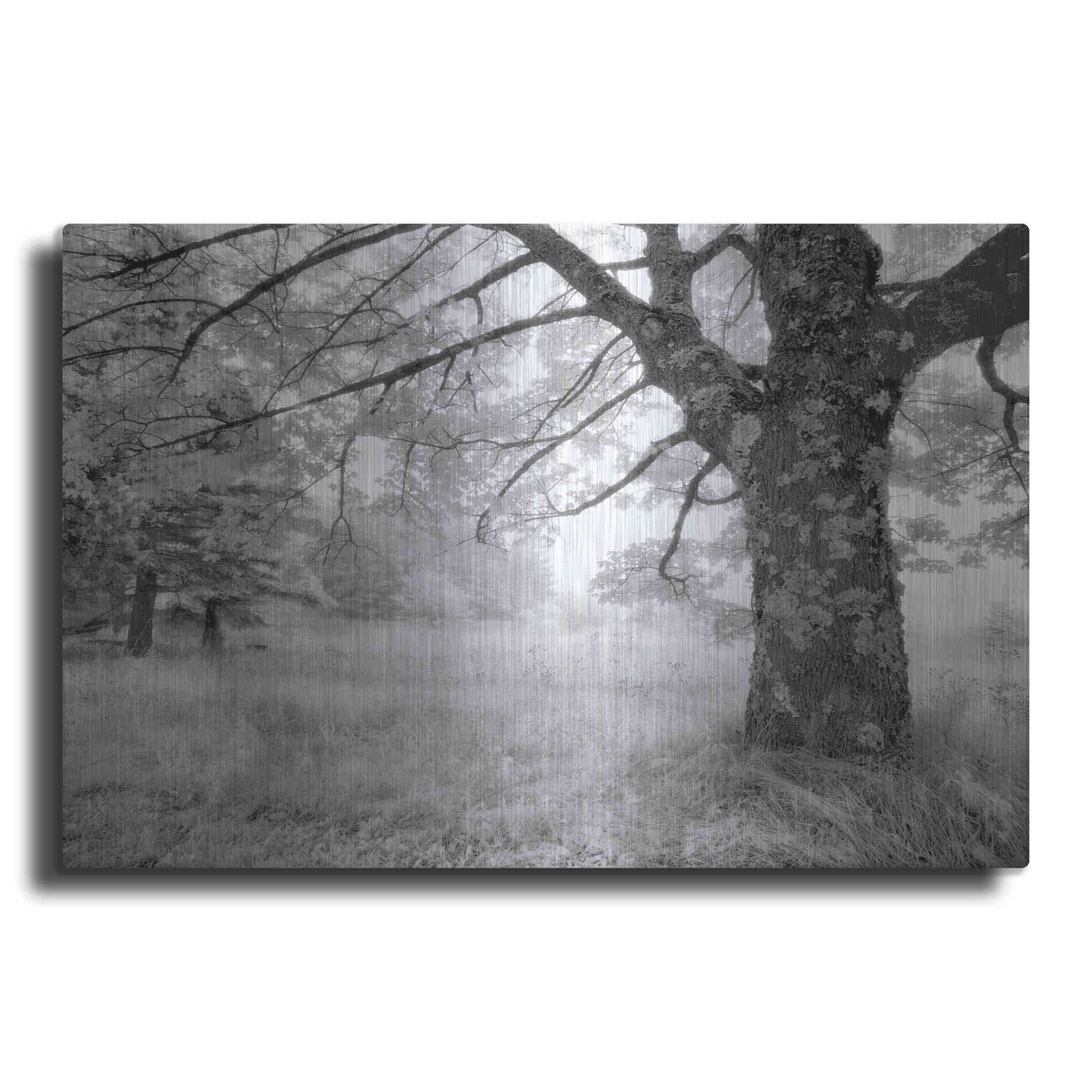 Luxe Metal Art 'JPG' by Mike Jones, Metal Wall Art