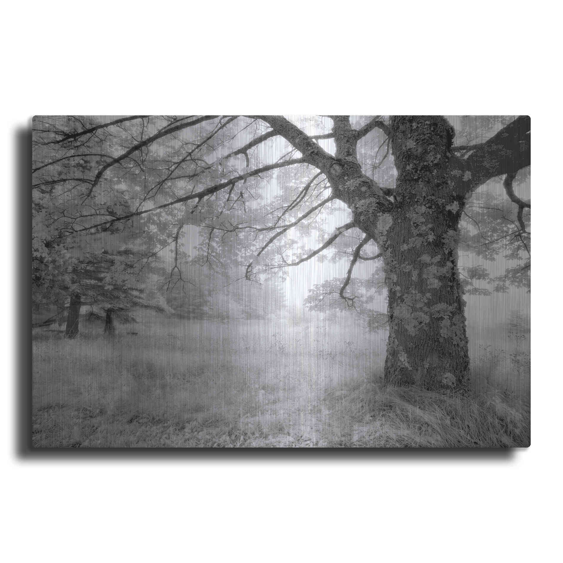 Luxe Metal Art 'JPG' by Mike Jones, Metal Wall Art