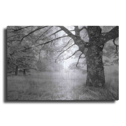 Luxe Metal Art 'JPG' by Mike Jones, Metal Wall Art