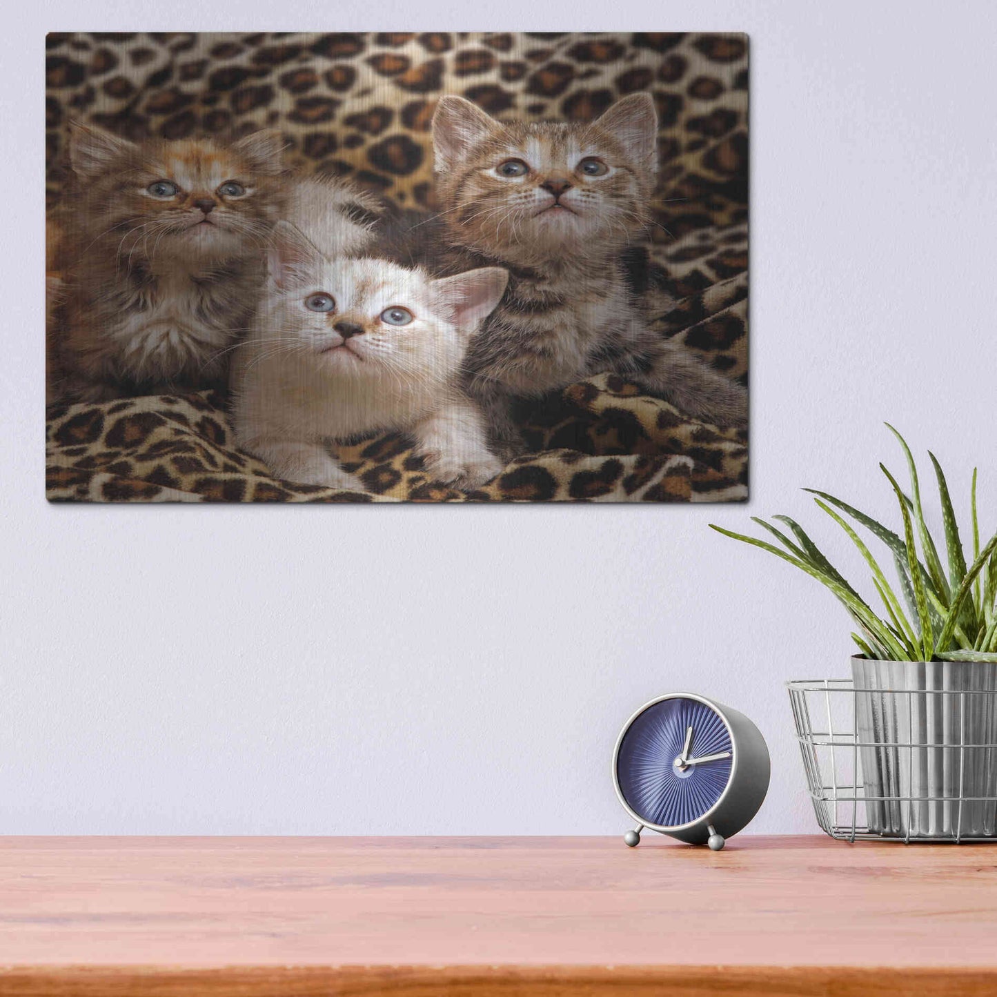 Luxe Metal Art 'Kittens' by Mike Jones, Metal Wall Art,16x12