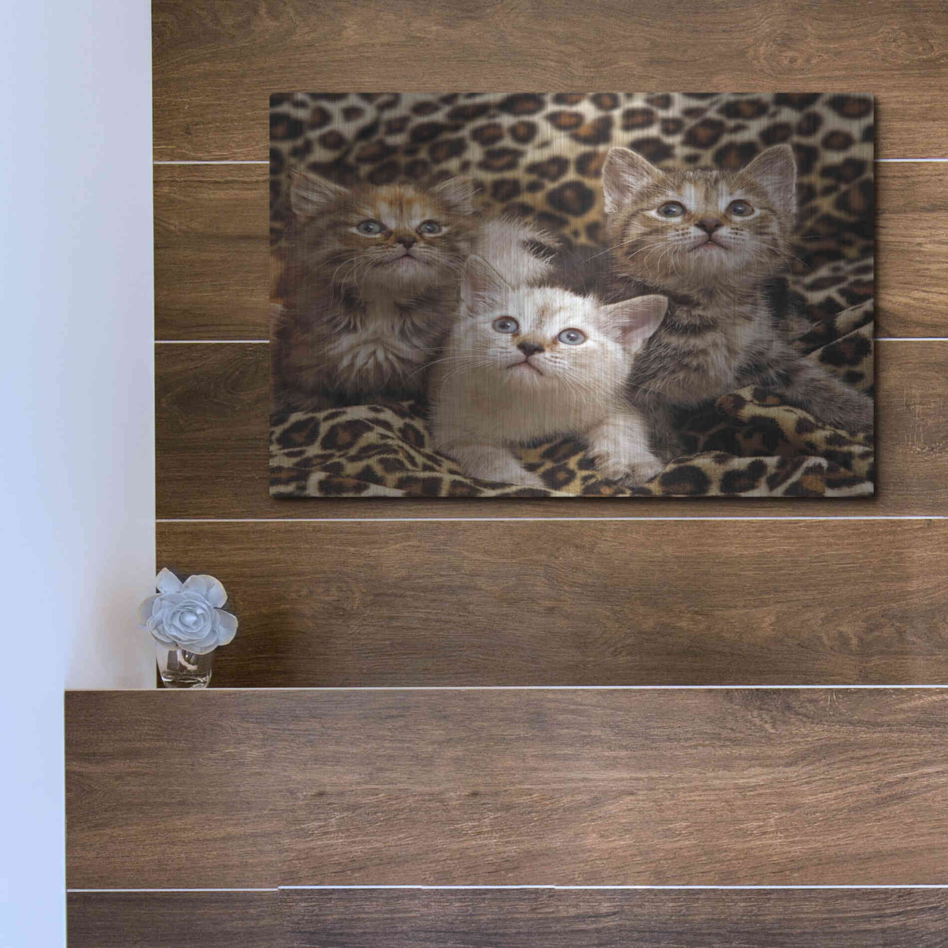 Luxe Metal Art 'Kittens' by Mike Jones, Metal Wall Art,16x12