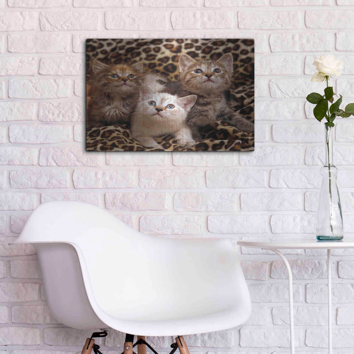 Luxe Metal Art 'Kittens' by Mike Jones, Metal Wall Art,24x16