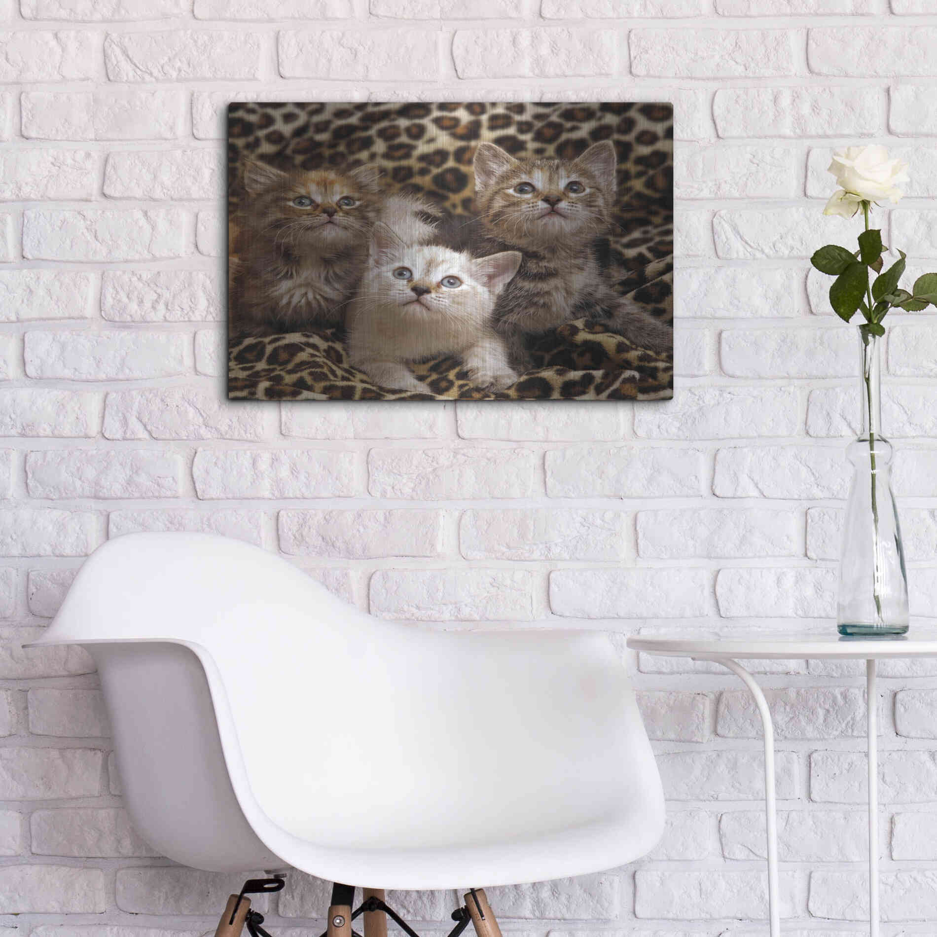 Luxe Metal Art 'Kittens' by Mike Jones, Metal Wall Art,24x16