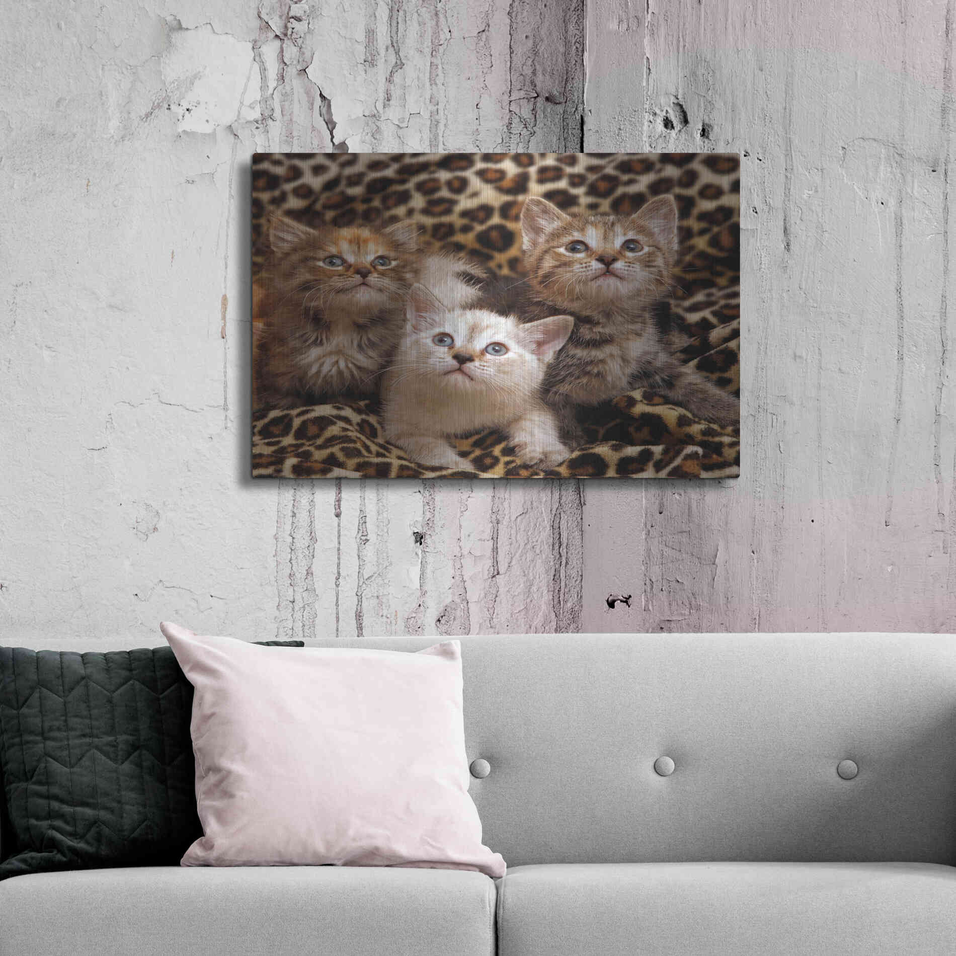 Luxe Metal Art 'Kittens' by Mike Jones, Metal Wall Art,36x24