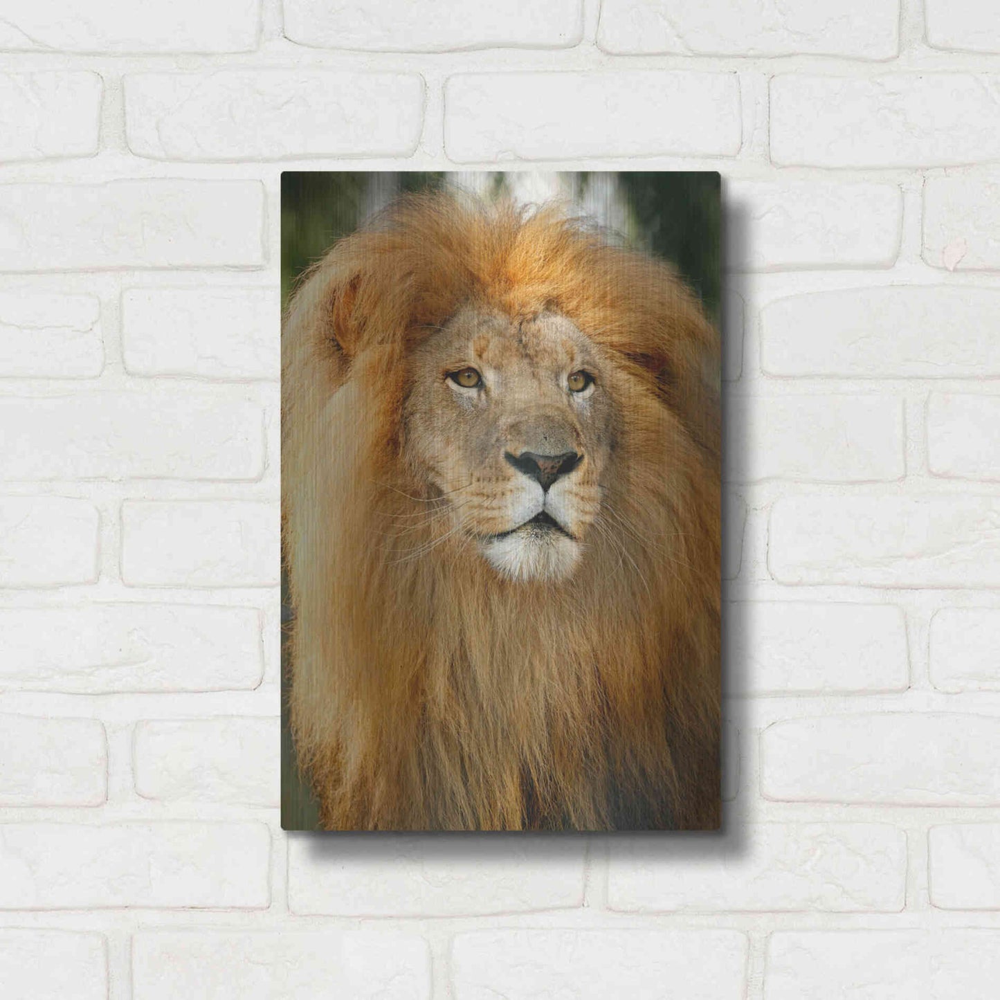 Luxe Metal Art 'Lion' by Mike Jones, Metal Wall Art,12x16
